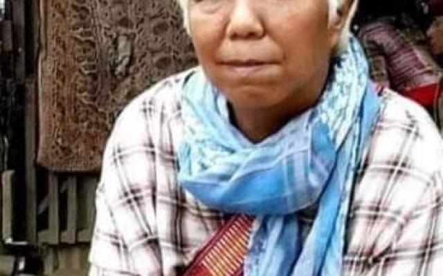Vanramchhuangi, a social activist, has filed a Public Interest Litigation(PIL) case against the illegal smuggling of Areca nut at the Gauhati High Court, Aizawl Bench.